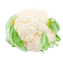 Bloemkool